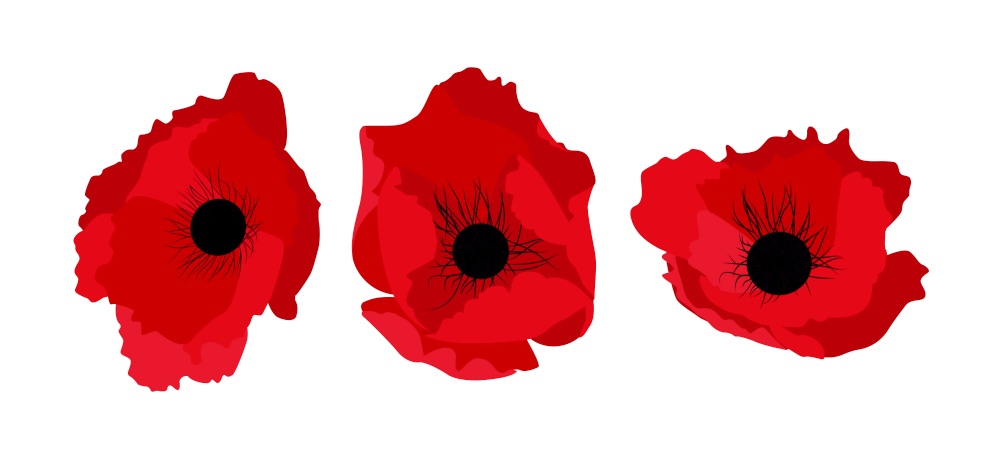 Simple red flower poppy set Vector Illustration EPS10. Simple red flower poppy set Vector Illustration