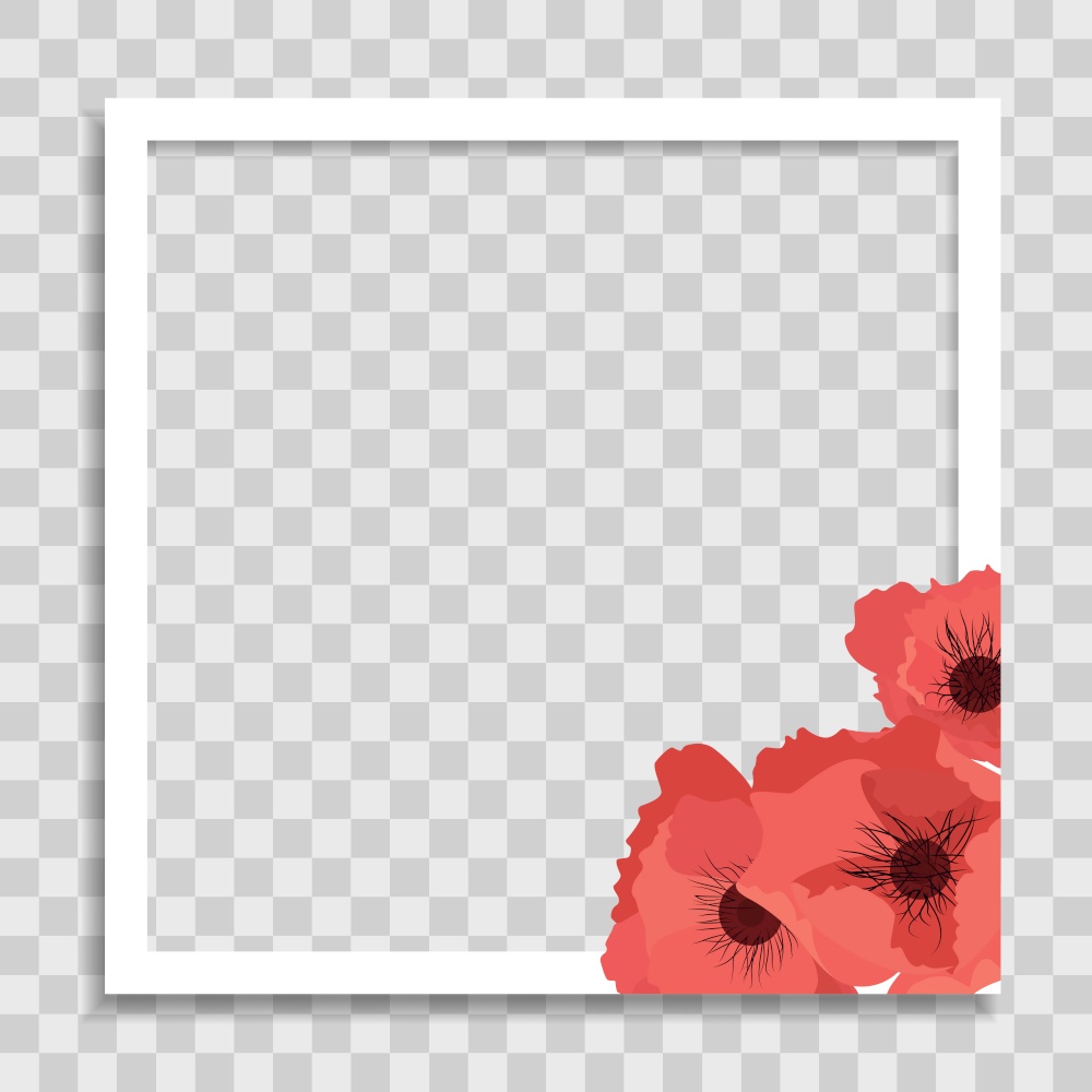 Empty Photo Frame Template with Spring poppy Flowers for Media Post in Social Network. Vector Illustration