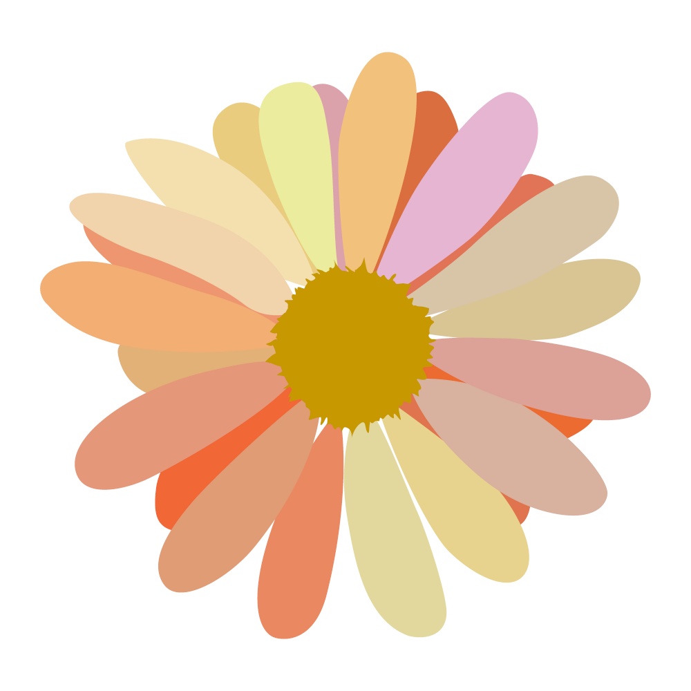 simple flower of blossoming and blooming chamomile. Vector Illustration. EPS10. simple flower of blossoming and blooming chamomile. Vector Illustration
