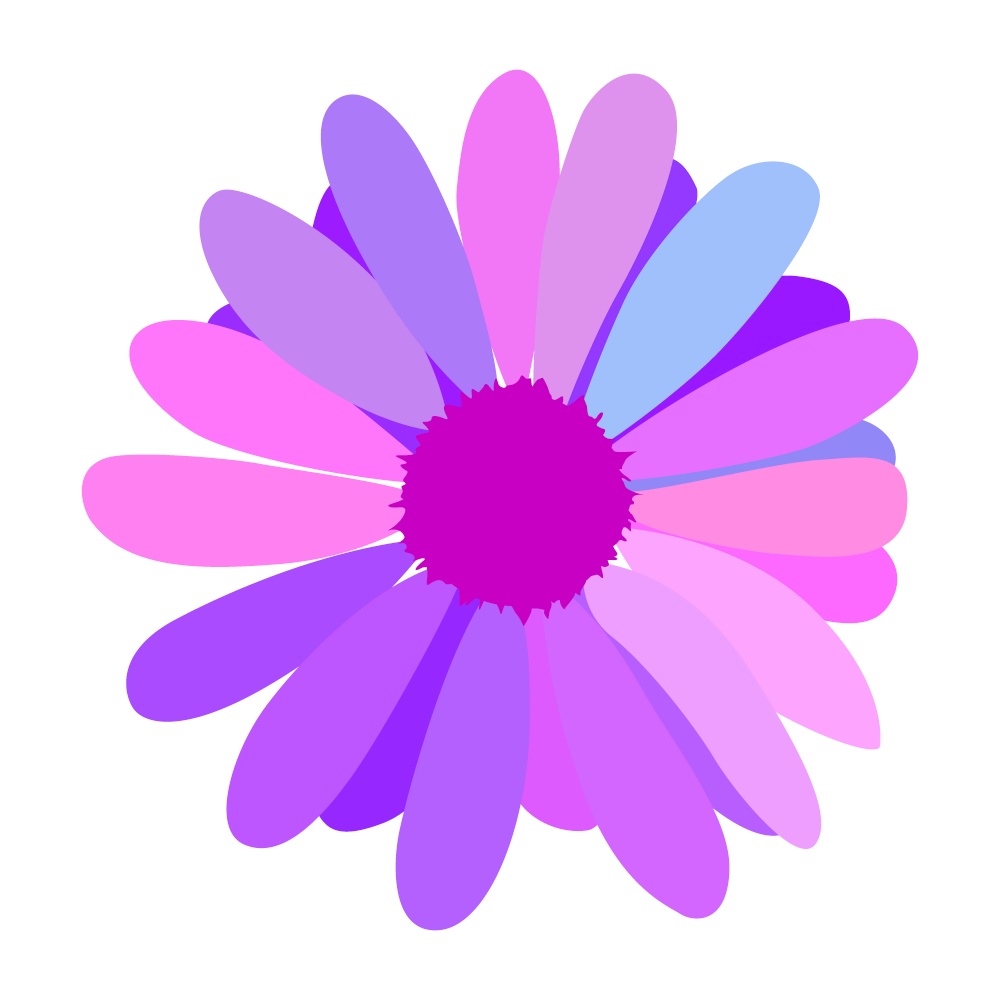 simple flower of blossoming and blooming colored chamomile. Vector Illustration. EPS10. simple flower of blossoming and blooming colored chamomile. Vector Illustration