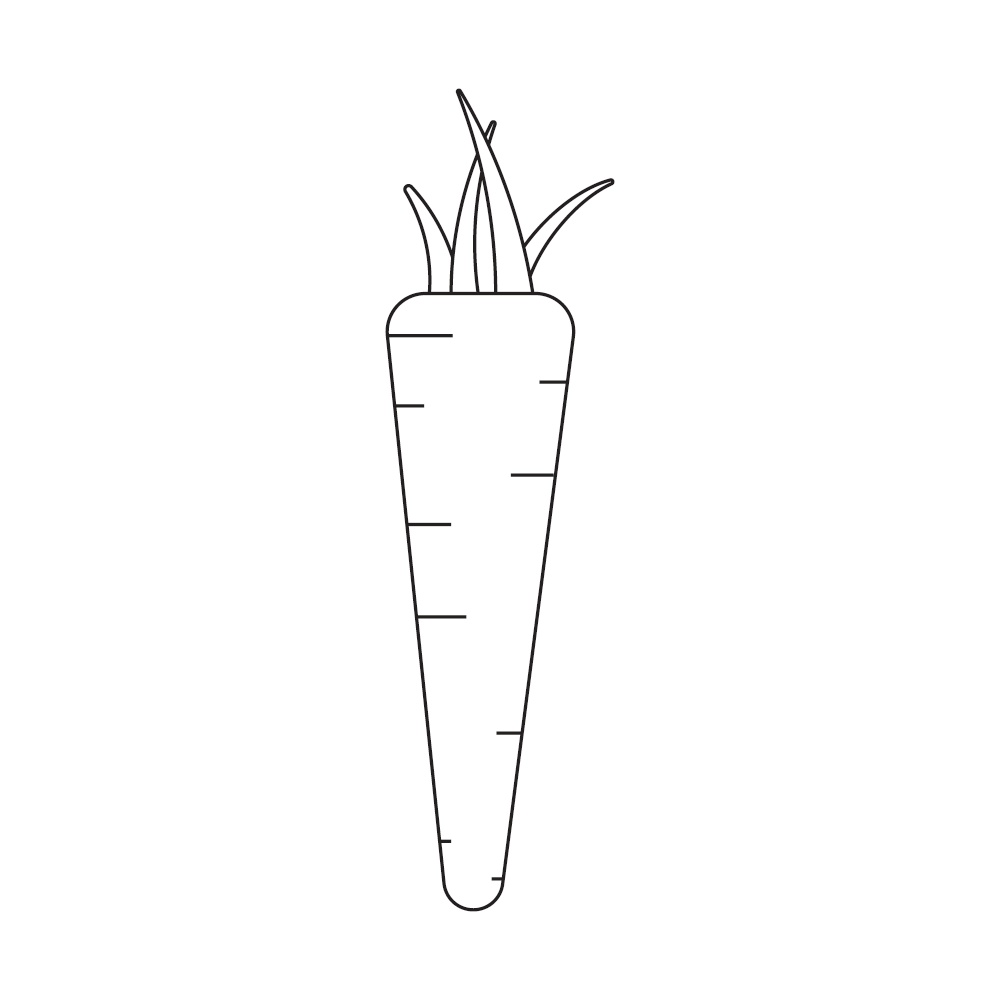 Fresh carrots with sprouts, black and white icon. Vector Illustration. EPS10. Fresh carrots with sprouts, black and white icon. Vector Illustration