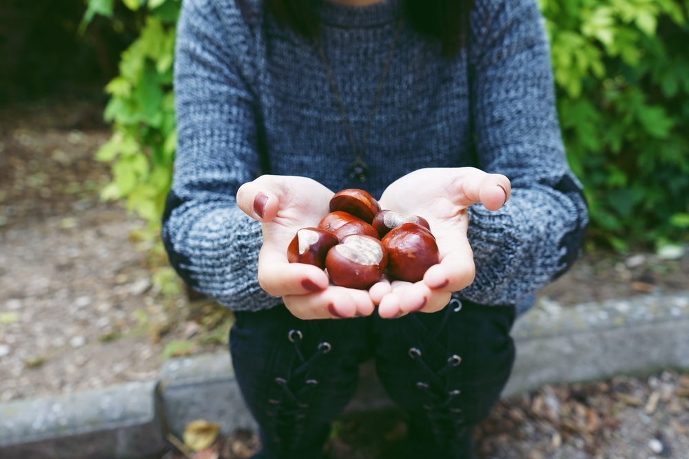 Close up of chestnuts on a caucasian young woman hands while sitting on ground in a park
