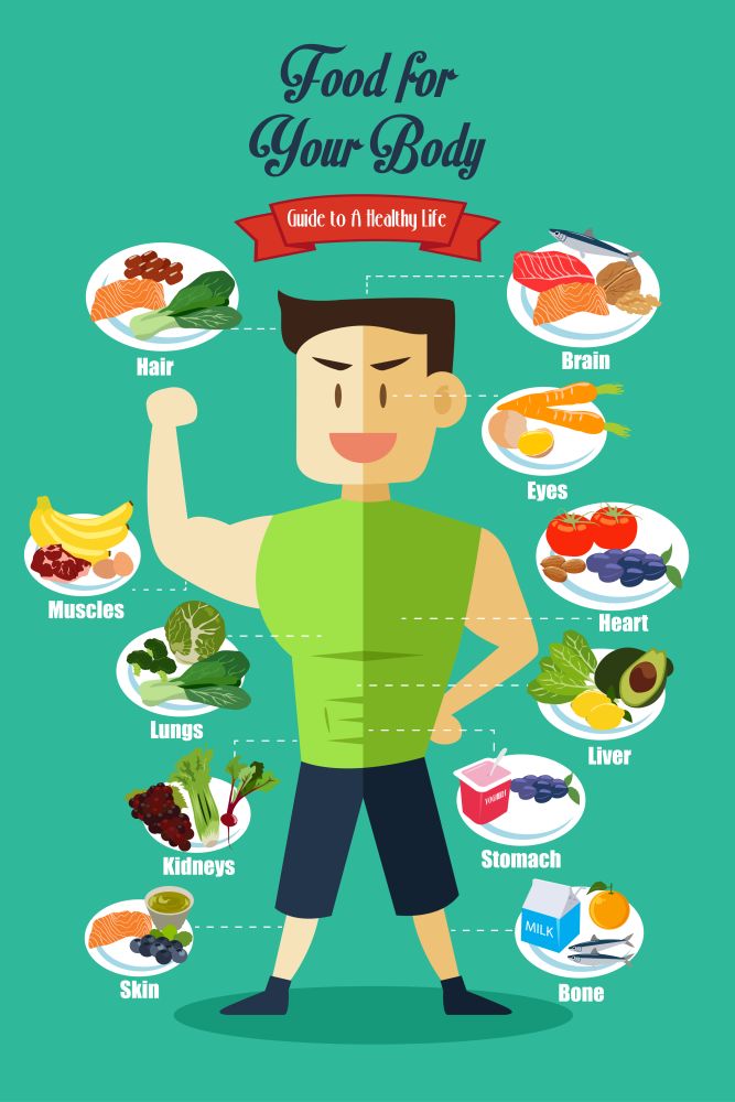 A vector illustration of Infographic of healthy food for body
