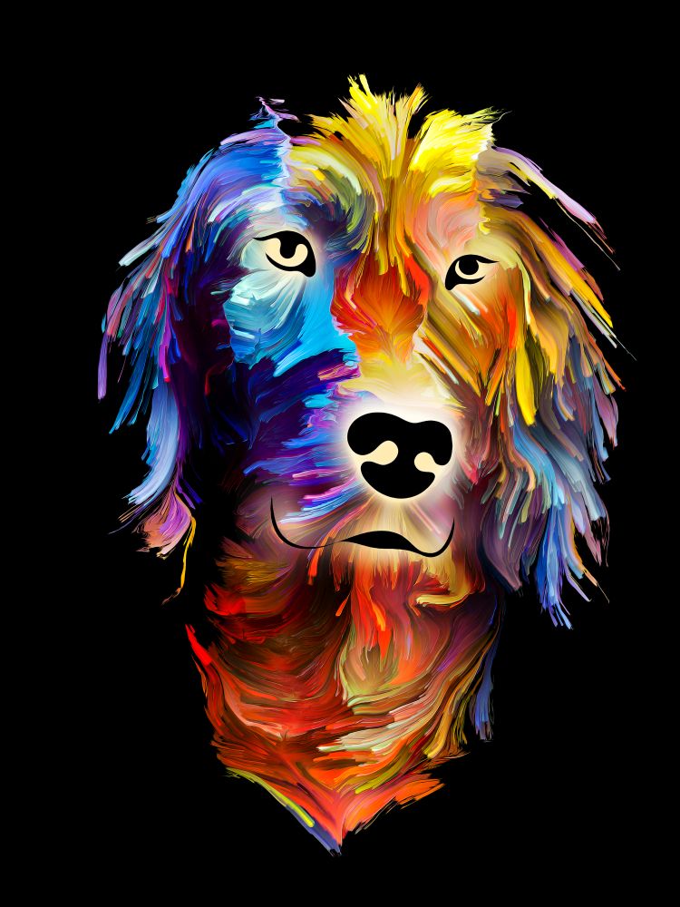 Dog digital portrait in bright colors on black background on subject of love, friendship, faithfulness, companionship between dog and man. God bless animals series.