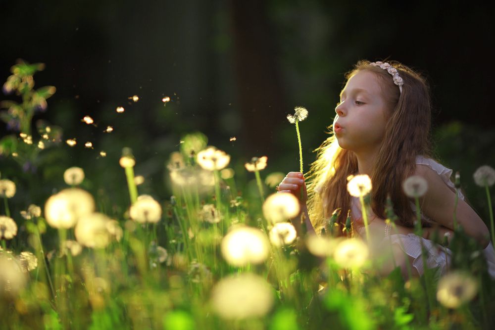 girl blowing a dandelion seeds flying