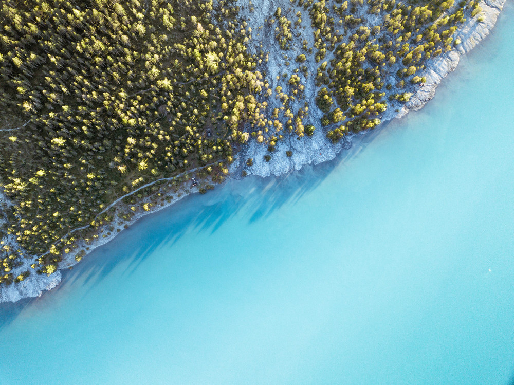 Aerial shot of trees at a mountain lake