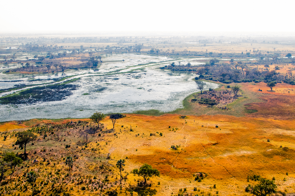 Aerial View on Okavango Delta