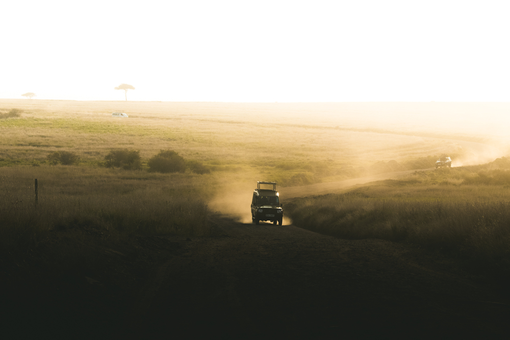Dusty game drives in Africa