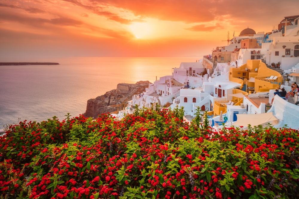 Scenic sunset over sea and picturesque Oia town on Santorini island in summer with red flowers on foreground. Sunset over Oia town on Santorini island in summer. Santorini, Greece