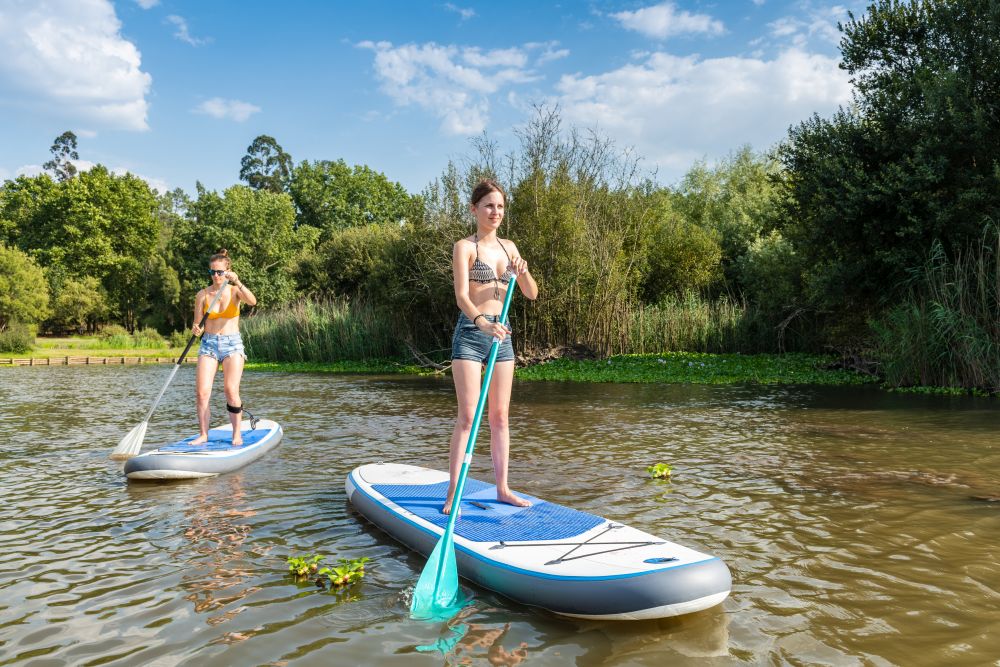 Two women stand up paddleboarding on lake. Young women doing watersport on lake. Female tourists during summer vacation.