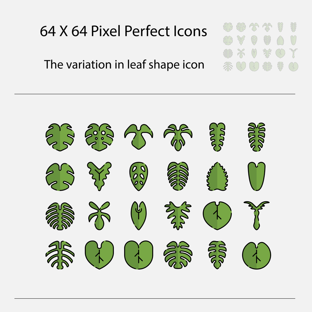 The variation of leaf shape icon. Variation of leaves vector filled outline icon