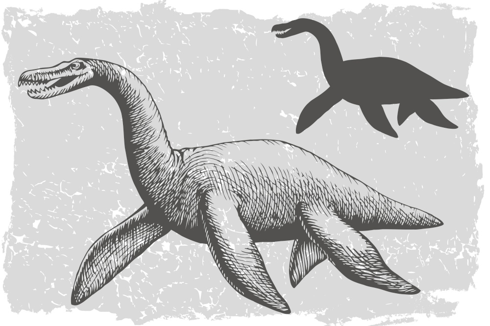 Dinosaur plesiosaurus grafic hand drawn and silhouette illustration. Animal vector drawing isolated on grunge background