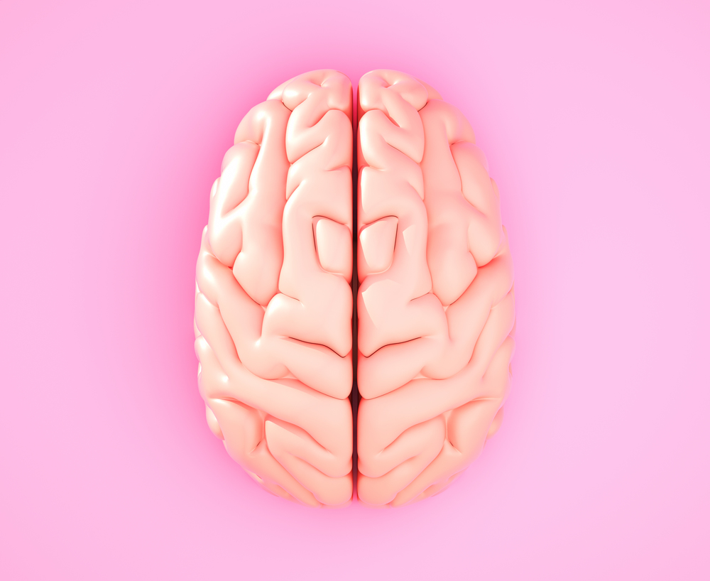 Pink brain on the color background. 3D illustration. Pink brain on the color background
