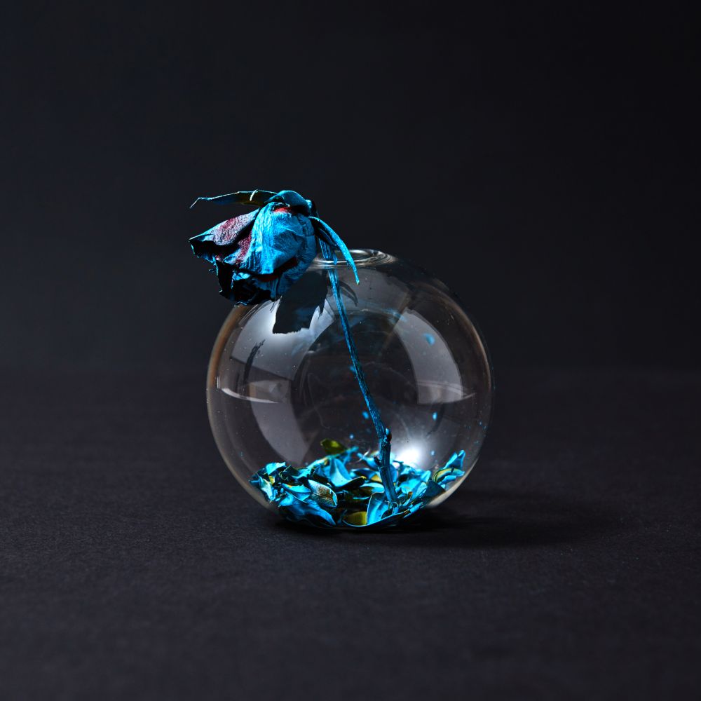 Dried rose flower in blue paint with a round glass vase spherical shape and blue petals on the bottom on a black background, place for text.. The dry rose is painted with blue paint in a round glass with blue petals on a black paper background.