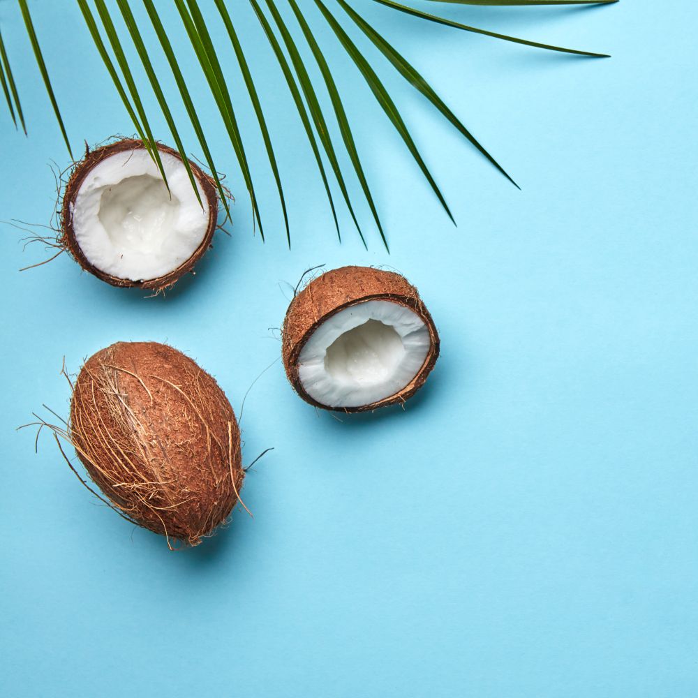 Whole and halves of coconut with a palm leaf on a blue background with a copy of the space for text. An exotic fruit. Flat lay. A coconut and palm green leaf on a blue background with copy space. The tropical nut. Flat lay