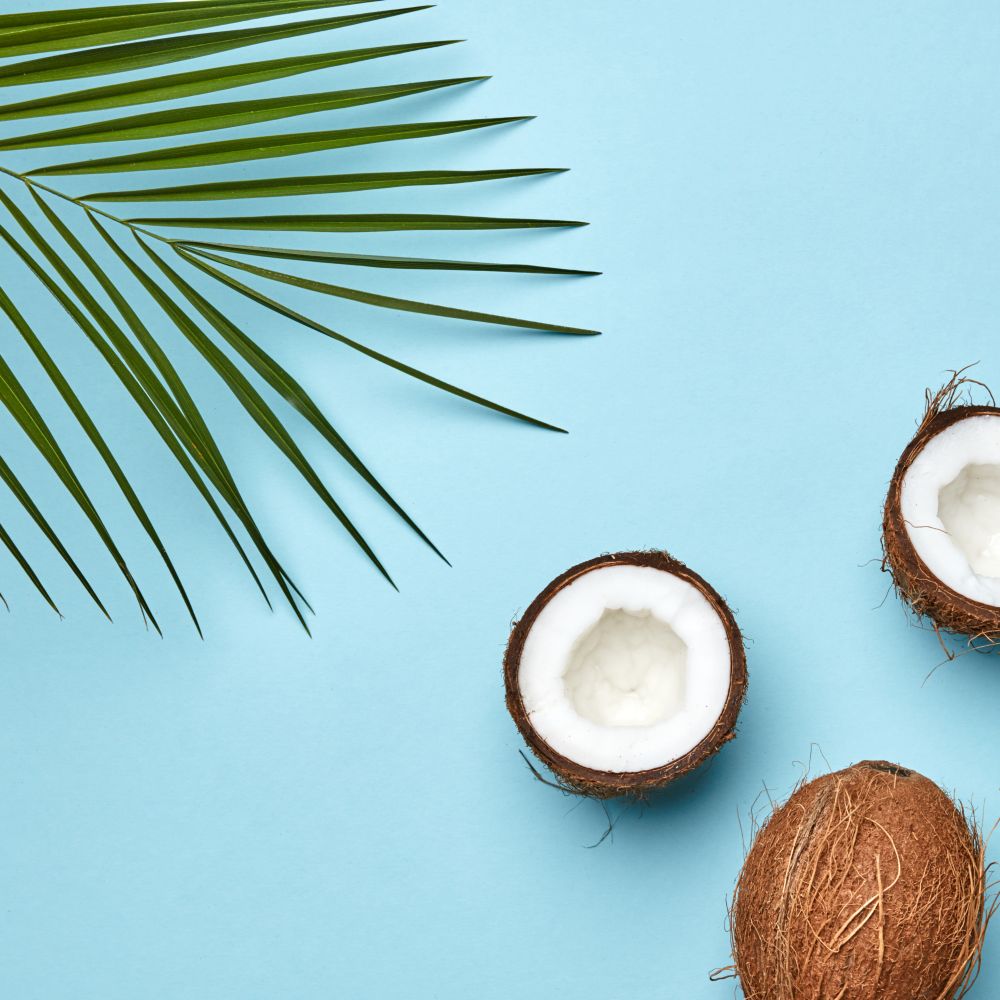 A coconut and palm green leaf on a blue background with copy space. The tropical nut. Flat lay. Whole and halves of coconut with a palm leaf on a blue background with a copy of the space for text. An exotic fruit. Flat lay