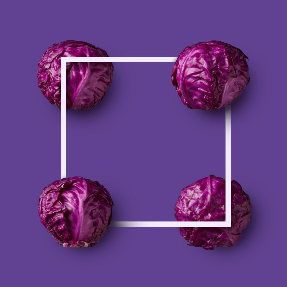frame of purple cabbage presented in the form of a square isolated on a violet background. From color cabbage series. purple cabbage isolated on purple background
