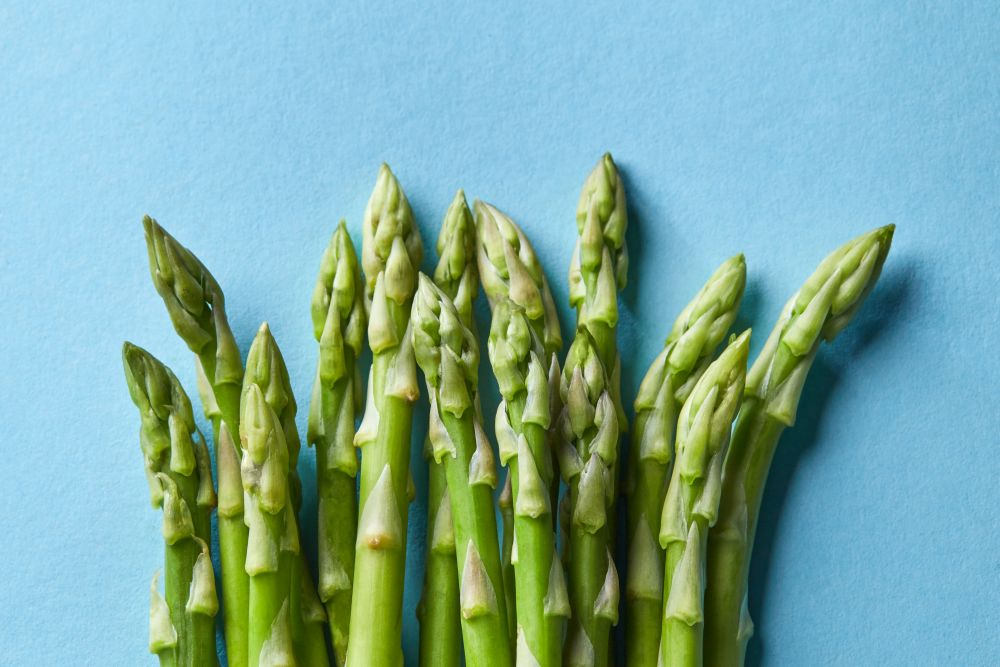Bunch of fresh asparagus isolated on blue. Concept healthy vegetarian food. Flat lay. Texture of green asparagus view front