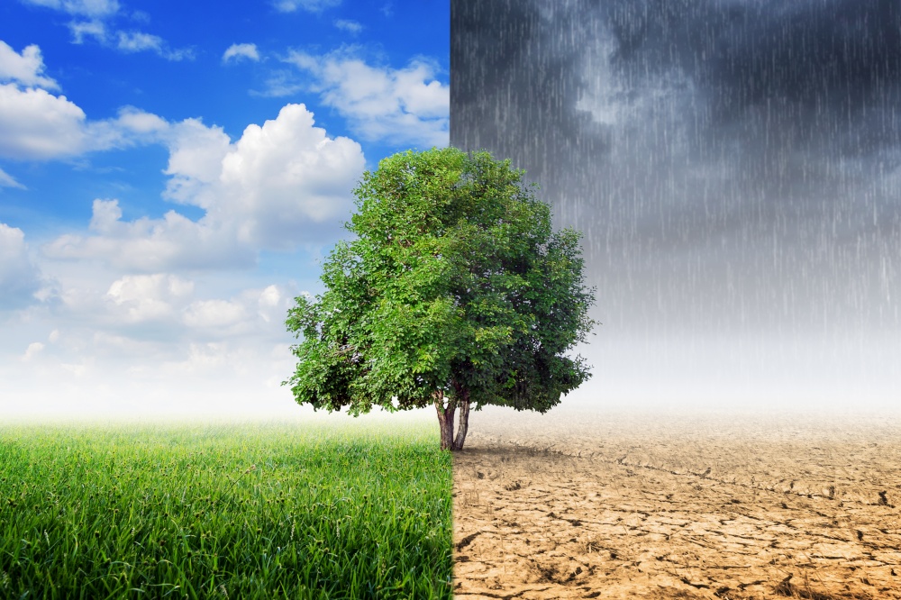 Landscape of Trees With the changing environment, Concept of climate change.. Concept of climate change.