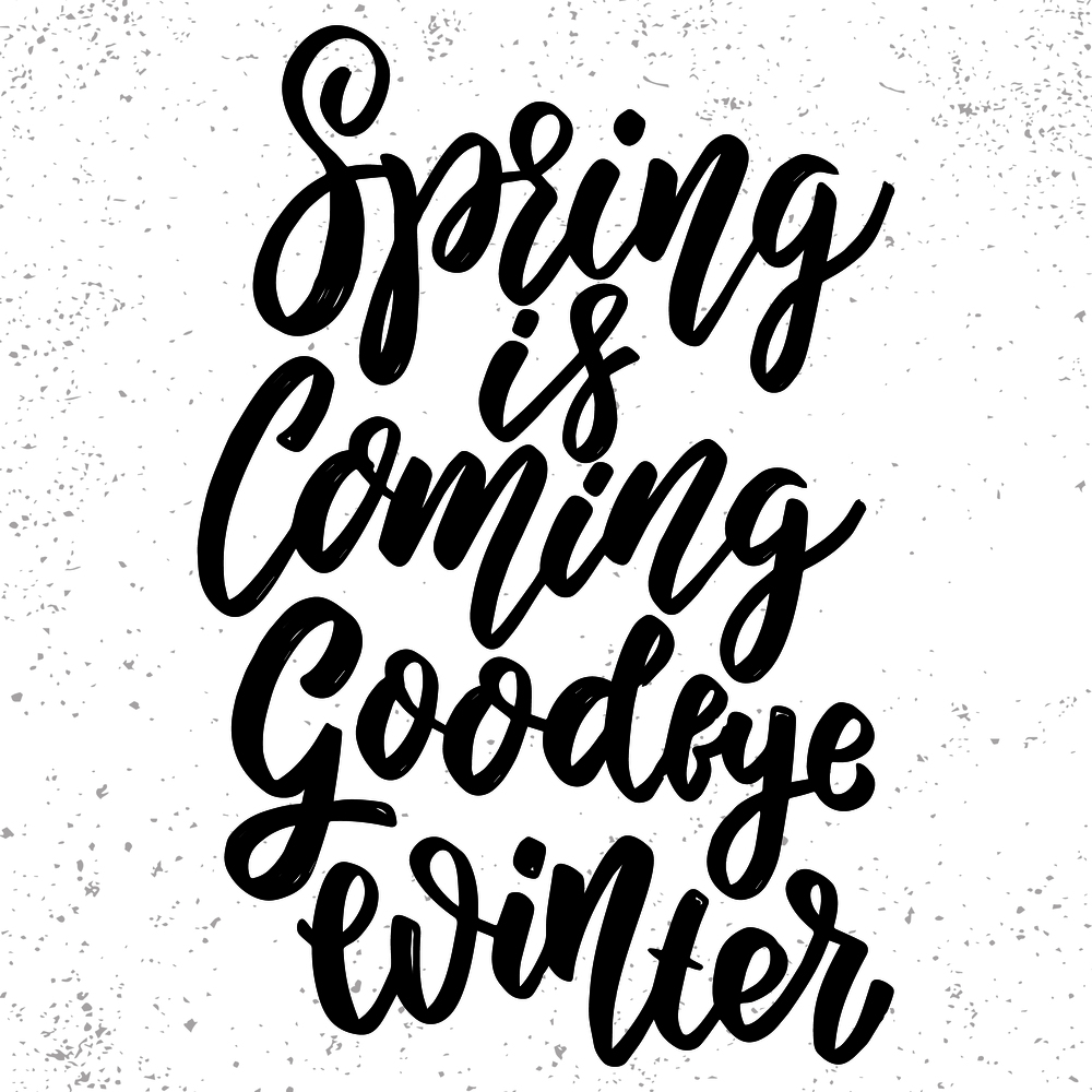 Spring is coming goodbye winter. Hand drawn lettering phrase. Design element for poster, greeting card, banner. Vector illustration