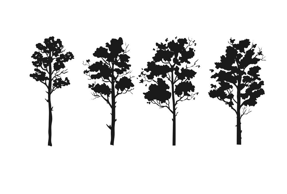 Set of forest trees silhouettes vector illustration