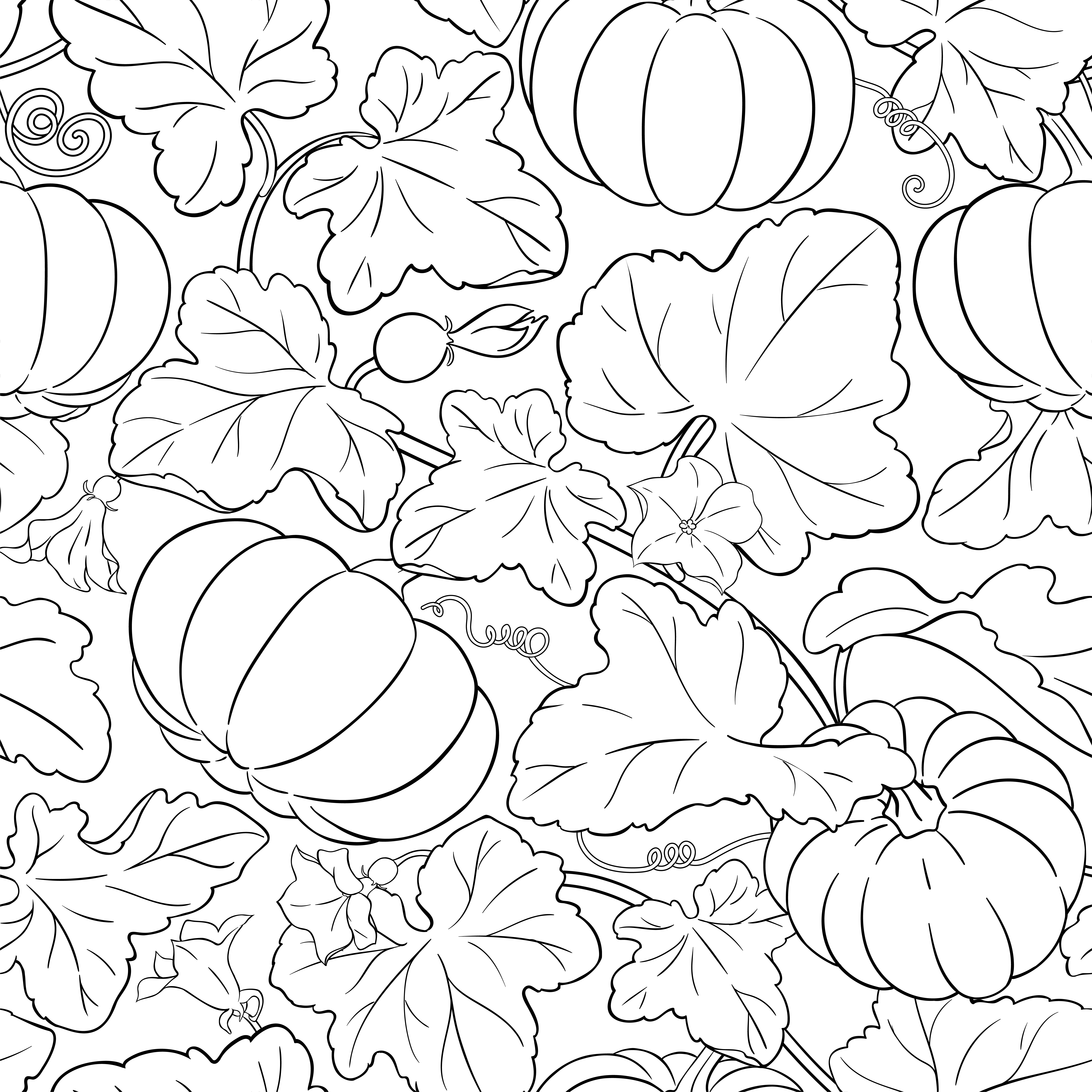 pumpkin vector pattern on white background. pumpkin vector pattern