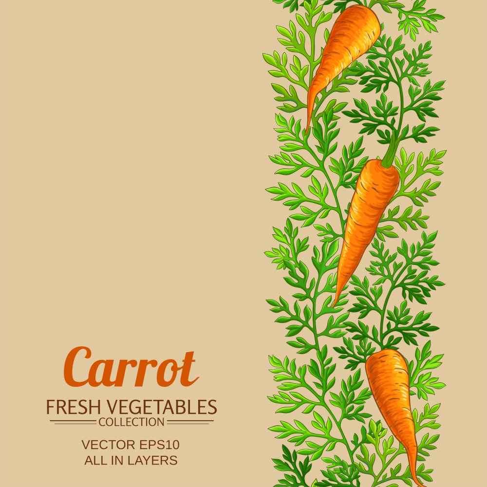 carrot vector background on color background. carrot background on color background