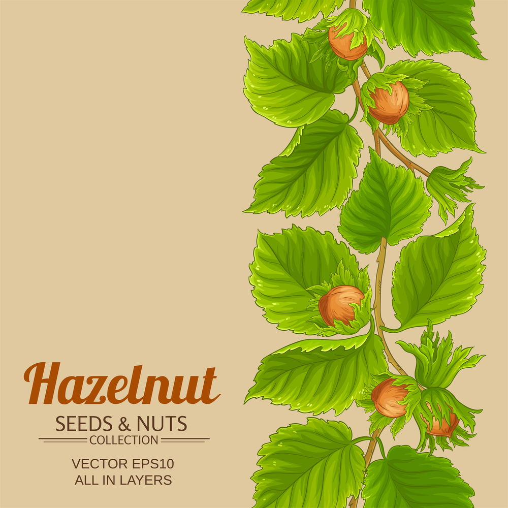 hazelnut vector pattern on color background. hazelnut pattern on color background
