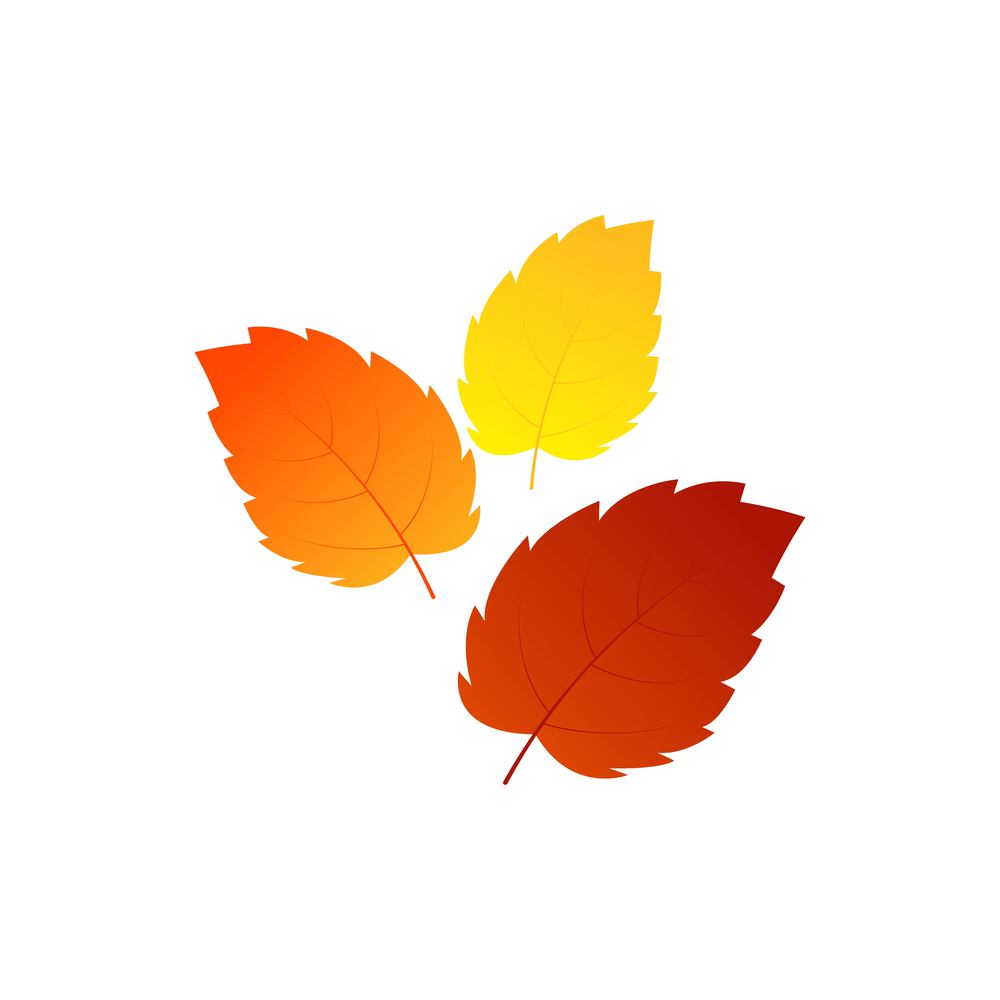 Autumn Element Vector icon design illustration Template