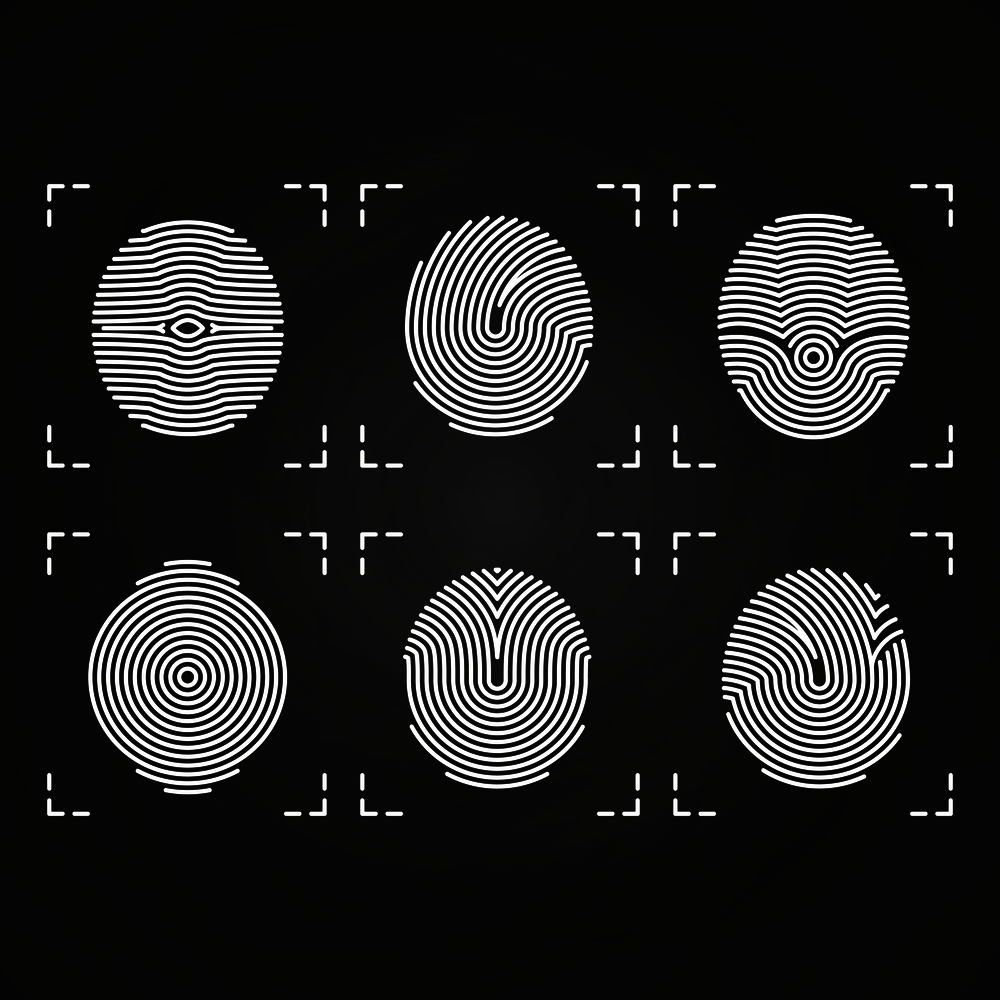 White fingerprints icons collection on chalkboard. Fingerprint identity human, vector illustration. White fingerprints icons collection on chalkboard