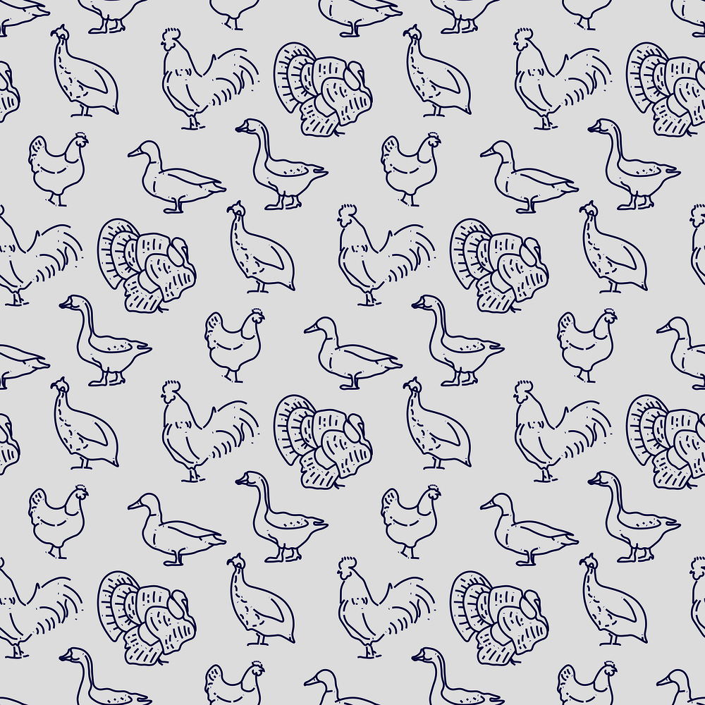 Popular farm birds seamless pattern. Vector farm animal farm illustration. Popular farm birds seamless pattern