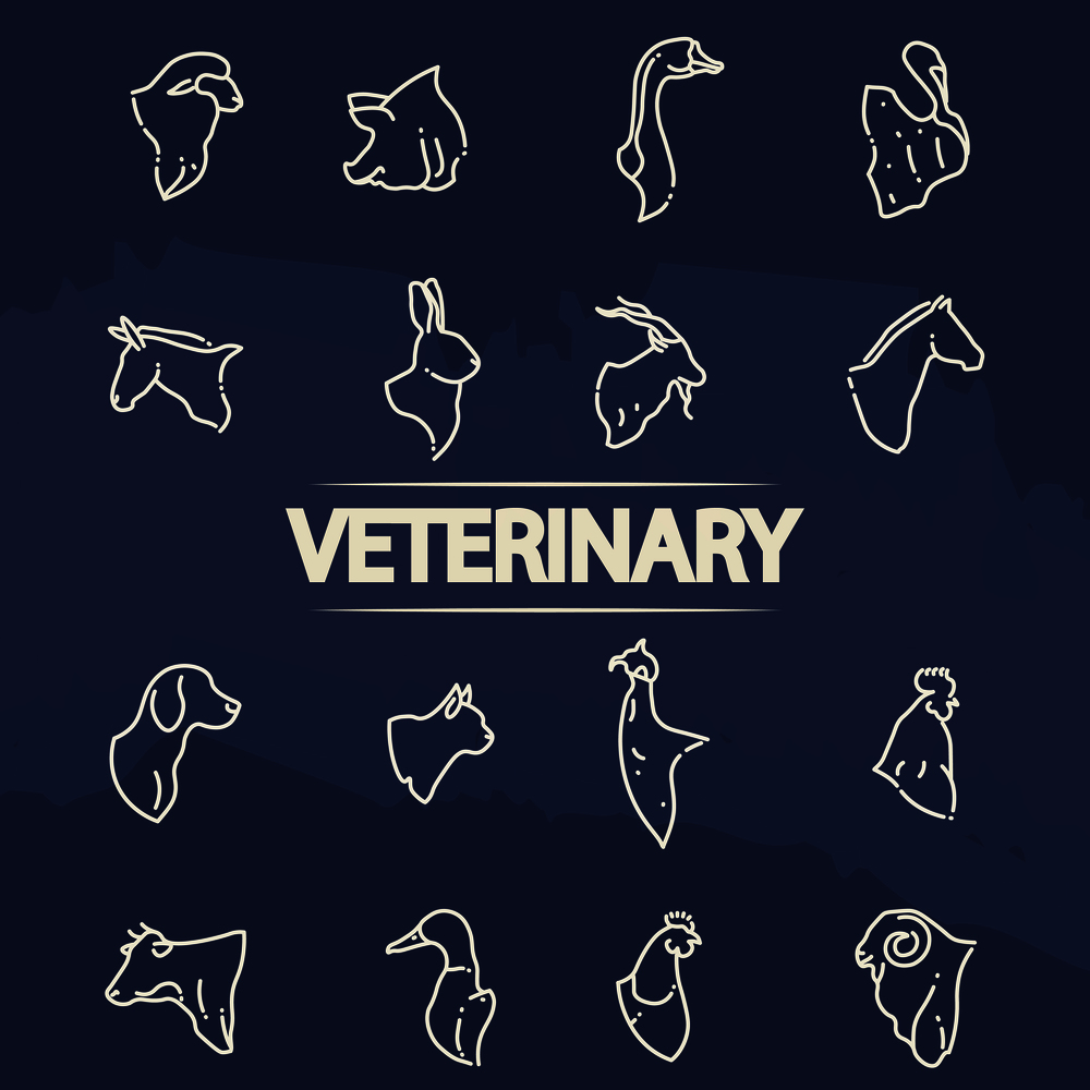 Veterinary icons - line animal heads icons. Line animal head, vector illustration. Veterinary icons - line animal heads icons
