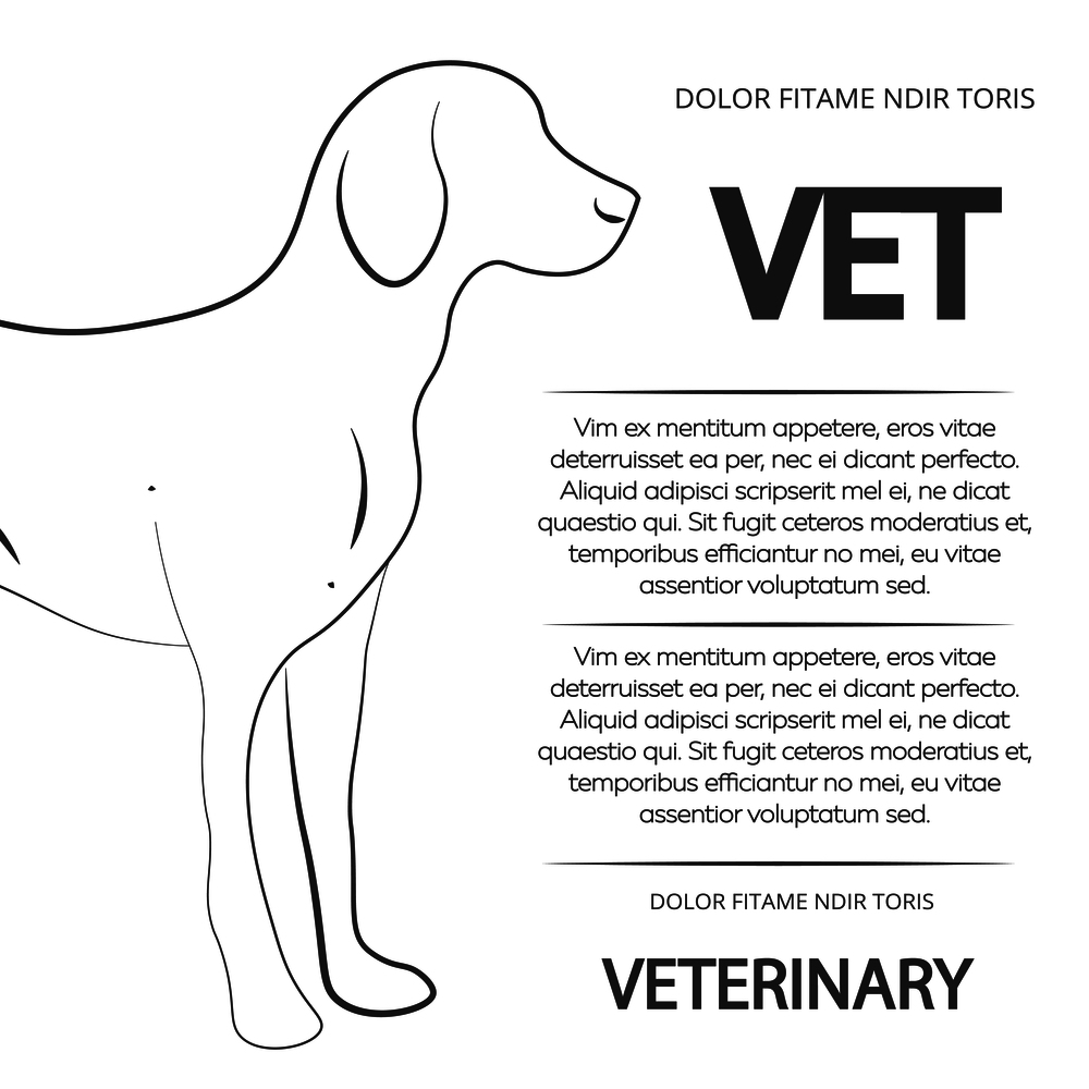 Veterinary poster design with line dog. Vector banner veterinary with animal illustration. Veterinary poster design with line dog