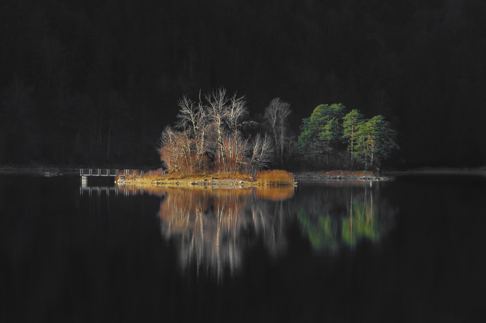 Landscape with leafless trees, green trees, and with orange leaves, reflected on the Eibsee lake, in low light, near Garmisch-Partenkirchen, Germany.