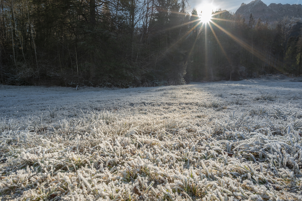 Enchanting winter landscape with sun rays over the snowy and frosty grass, on a meadow, surrounded by forest, near Garmisch-Partenkirchen, Germany.