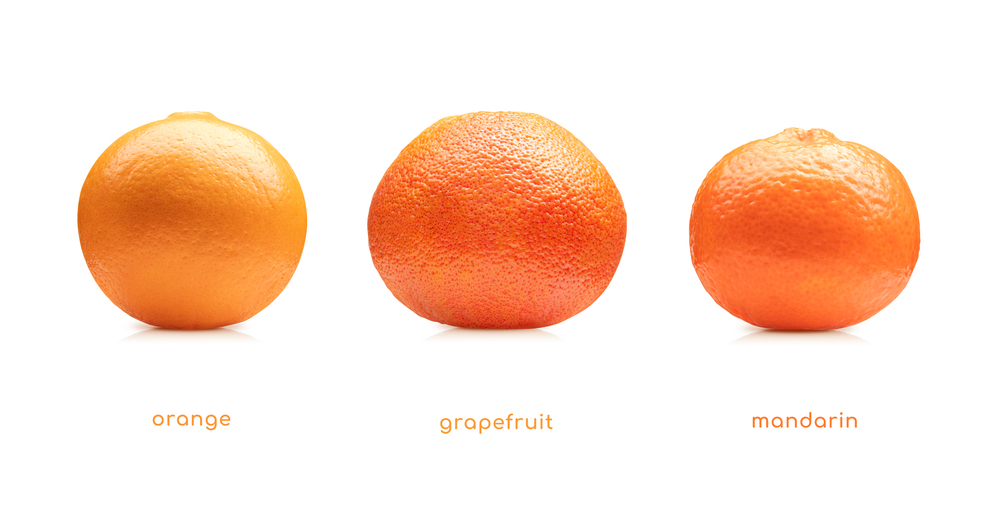 Orange, grapefruit, mandarin fruits set isolated on white background. Orange grapefruit mandarin fruits
