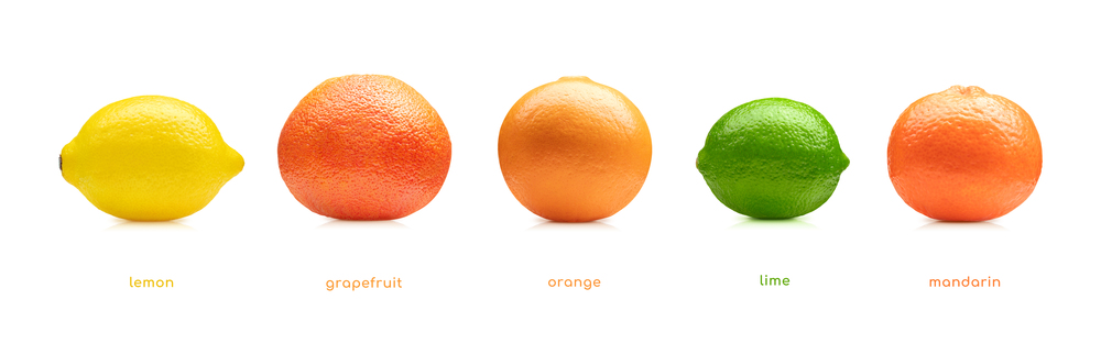 Lemon, lime, orange, mandarin, grapefruit fruits set isolated on white background. Lemon lime orange mandarin grapefruit fruits