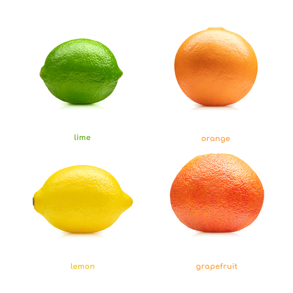 Lemon, lime, orange, grapefruit fruits set isolated on white background. Lemon lime orange grapefruit fruits