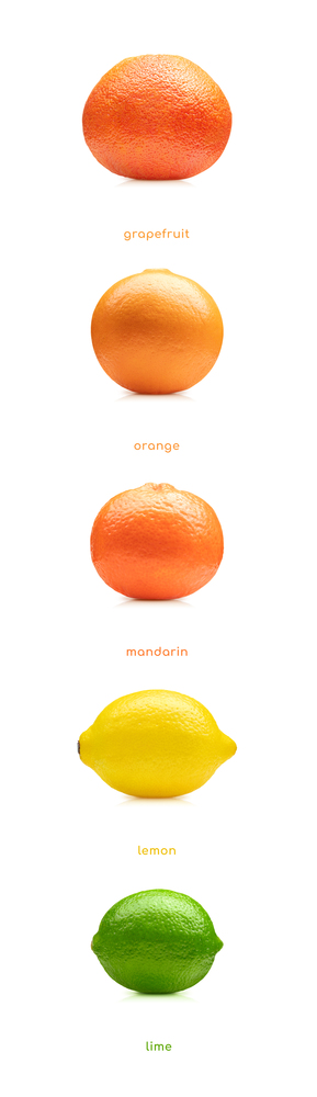 Lemon, lime, orange, mandarin, grapefruit fruits set isolated on white background. Lemon lime orange mandarin grapefruit fruits