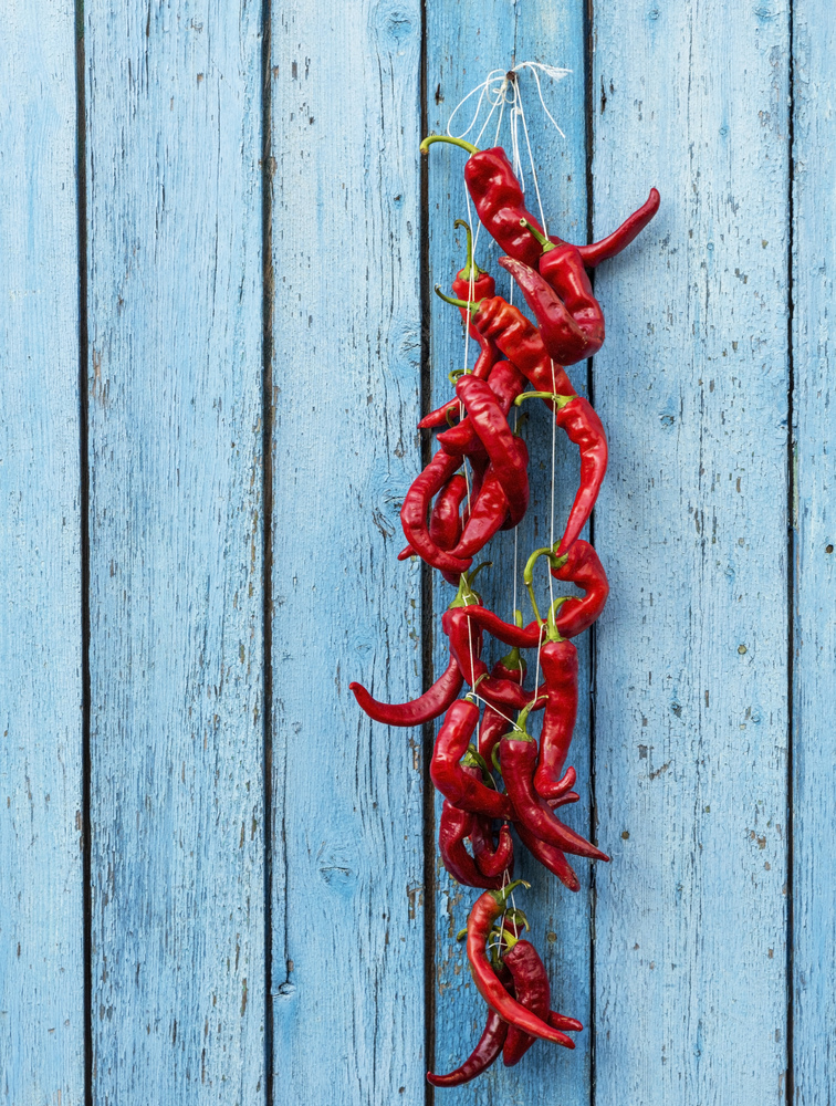 red raw ripe hot chili peppers hanging on a rope, blue old wooden background, copy space