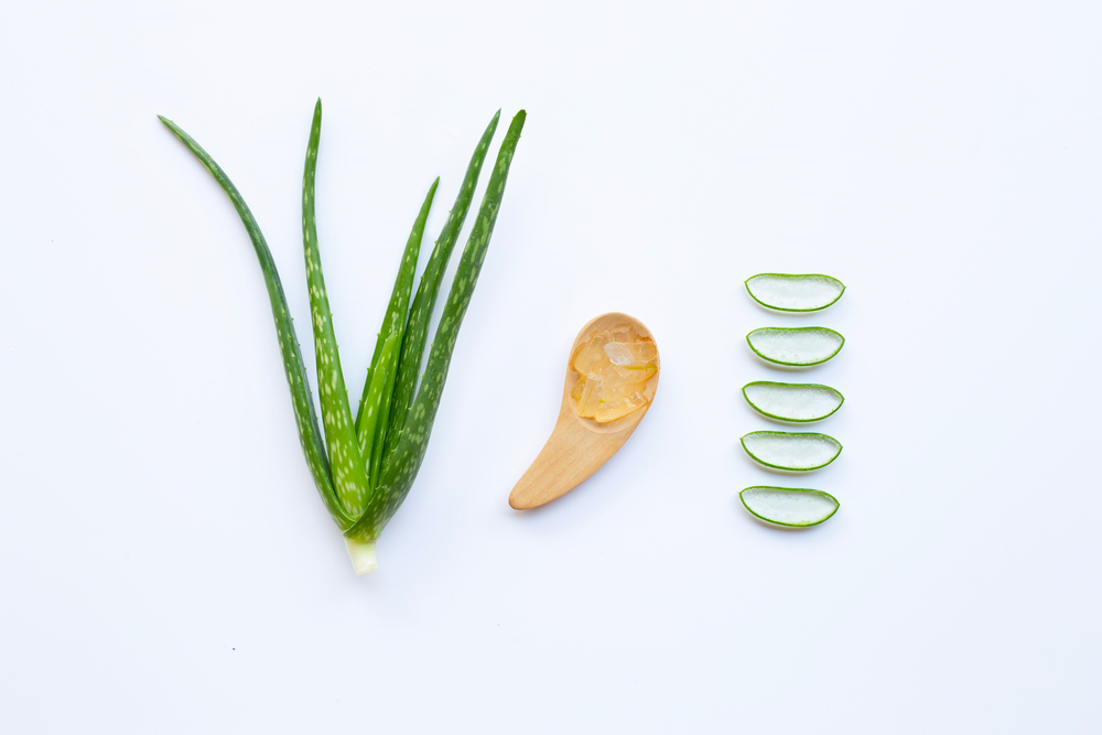 Aloe vera and slices with aloe vera gel on wooden spoon isolated on white background.