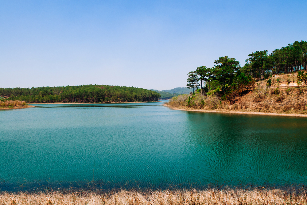 Tuyen Lam lake or Ho Tuyen Lam and pine forest, blue water in Da Lat - Vietnam with blue sky in spring season