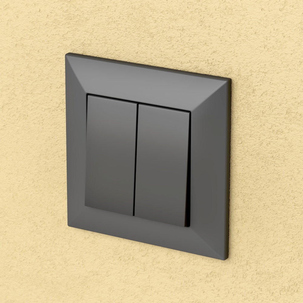 Black double light switch on the wall