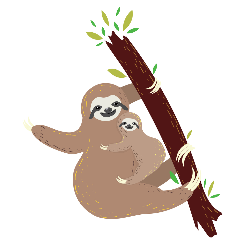 Cute cartoon sloth mother with the baby illustration.