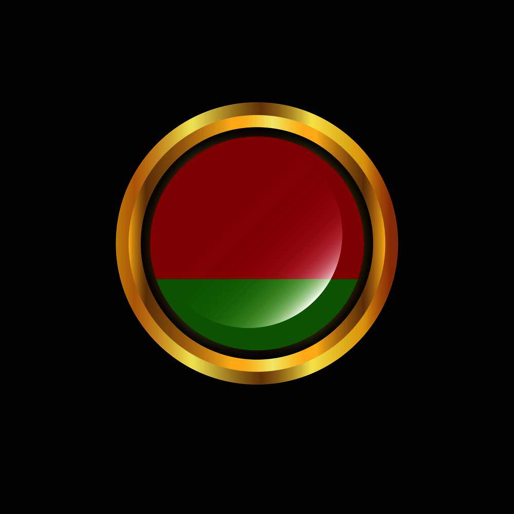 Belarus flag Golden button