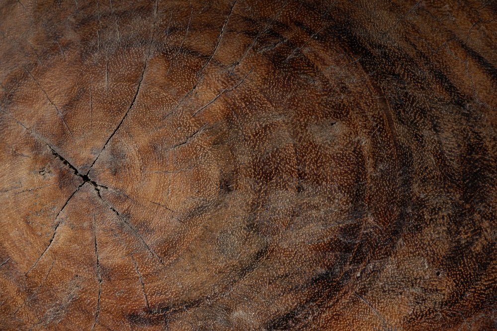 wood texture background- Image
