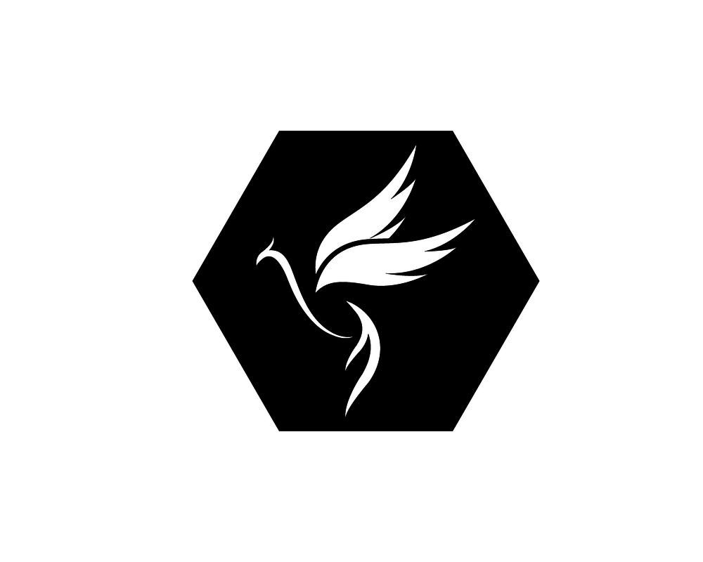 Seagull logo vector template