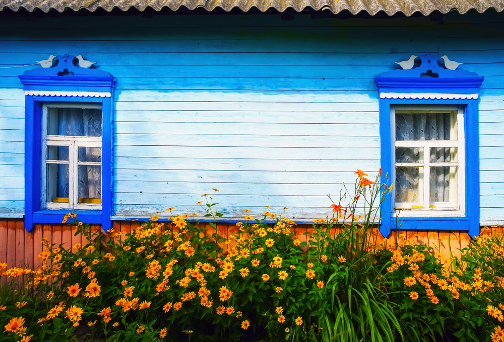 Flowers in front of the Windows of old house. Summer landscape.. Flowers in front of the Windows of the old house. Summer landscape.