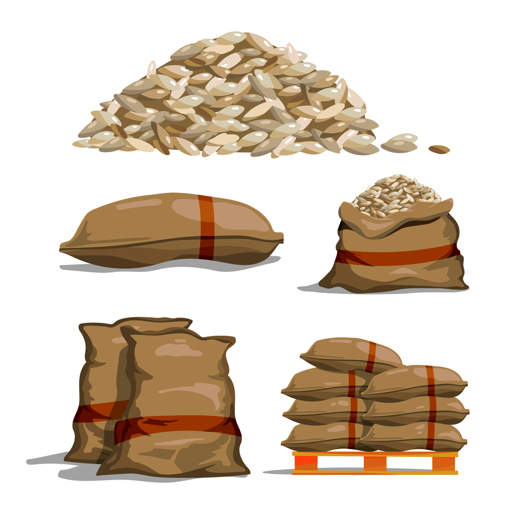 Different sacks of white rice. Food storage vector illustration. Grain rice in bag, sack with rice. Different sacks of white rice. Food storage vector illustrations