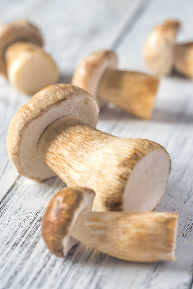 Porcini mushrooms on the wooden background